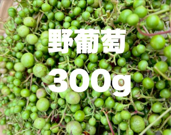 【天然サプリ自然の力】馬ぶどう 野葡萄 青い実300g