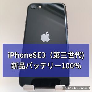 新品バッテリー iPhone SE 第3世代 64GB ミッドナイト SIMフリー 100%