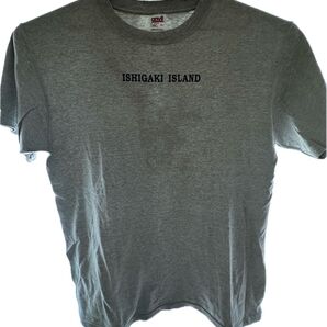 石垣島 Tシャツ グレー Anvil 古着 Lサイズ