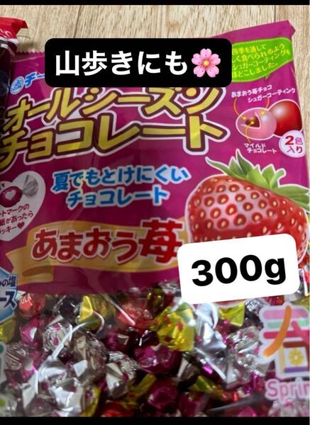 300g チーリン製菓 オールシーズンチョコ あまおう苺味 新品未開封おりがみ1枚