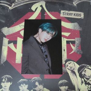 Stray Kids チャンビン 合 HOP 公式トレカ