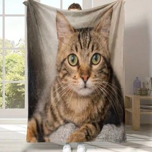 キジトラ 猫柄 プリント 膝掛け ブランケット 毛布 猫 ネコ ねこ 猫模様