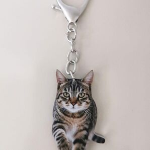 キジトラ キーホルダー 猫 ネコ ねこ アクリル 2D