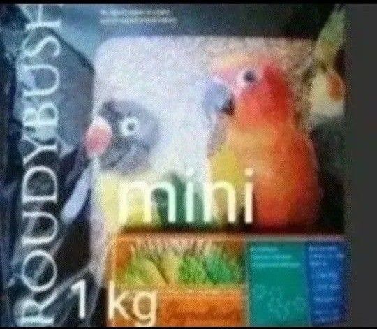 ラウディブッシュ デイリーメンテナンス mini 1kg