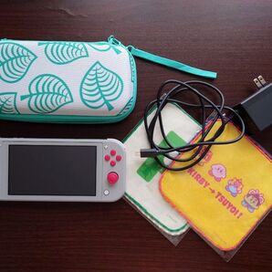 【美品】Nintendo Switch Lite ザシアン・ザマゼンタ 充電器 保護ケース ミニタオル(カービィ、ピクミン)付き