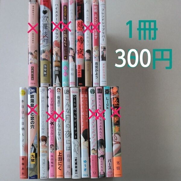 BLコミック/中古/まとめ売り/バラ売り/1冊300円〈値下げしました〉