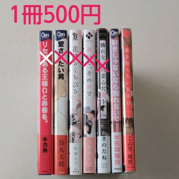 BLコミック/中古/まとめ売り/バラ売り/1冊500円〈※7/26追加有〉