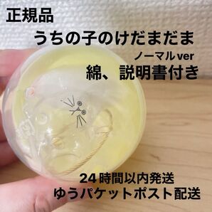 新品未開封 正規品 うちの子のけだまだま ノーマル 説明書、付属綿付き