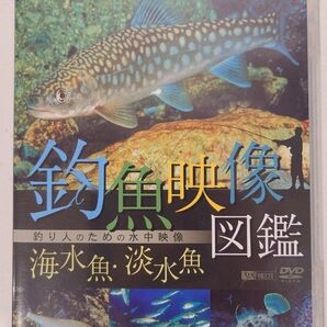 釣魚映像図鑑 DVD 海水魚 淡水魚