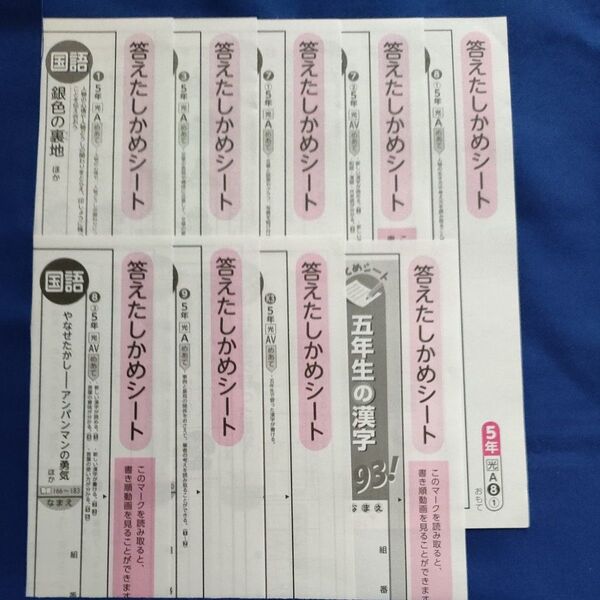 5年 カラーテスト答え 国語