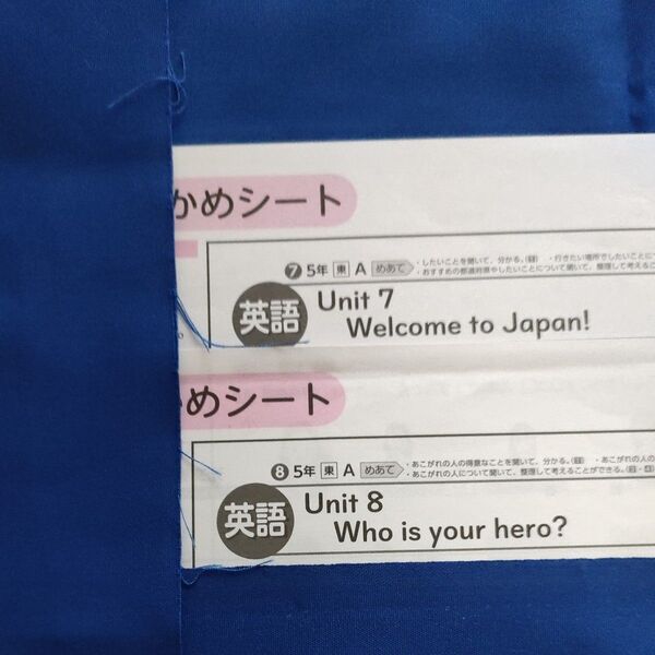 5年 カラーテスト答え 英語①