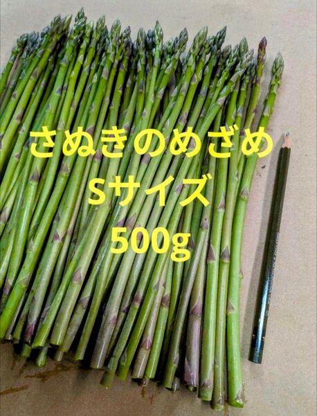 アスパラガス さぬきのめざめ Sサイズ 500g