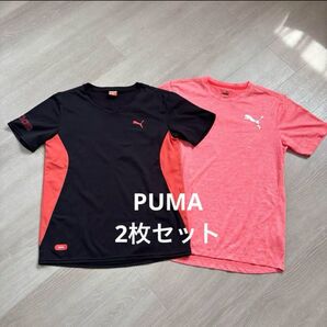 PUMA 通気性 Tシャツ 2枚セット