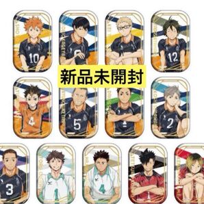 【コンプリート】ハイキュー セブンネット限定 スクエア缶バッジ おすわり