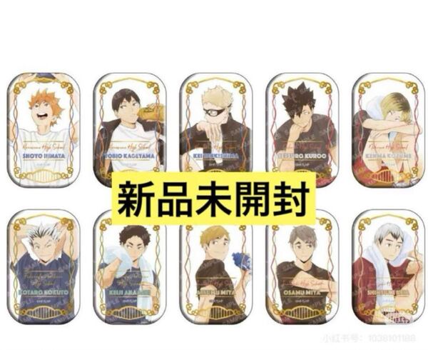 【コンプリート】ハイキュー セブンネット限定 スクエア缶バッジ クールダウン