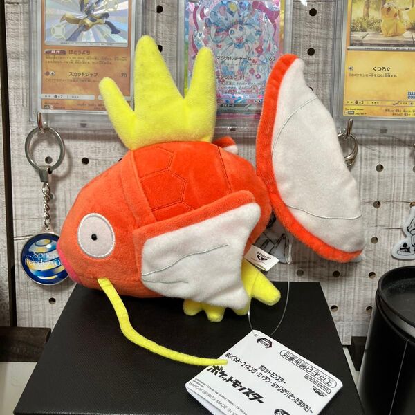 ポケットモンスター ポケモン ぬいぐるみ ~コイキング・カイデン・シャリタツ~