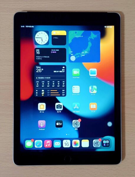 iPad Air2 16GB Wi-Fi+Cellular 本体