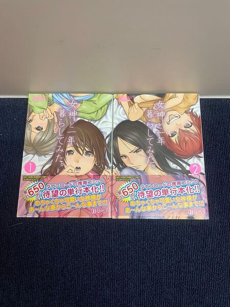 女神と一年暮らしてみた 全2巻 全巻初版 桂あいり 竹書房 バンブーコミックス