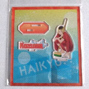 ハイキュー アクリルスタンド プール掃除 孤爪研磨