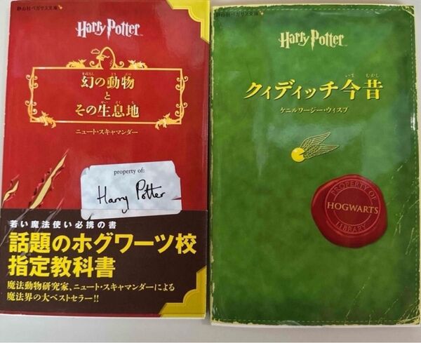 幻の動物とその生息地 クイディッチ今昔
