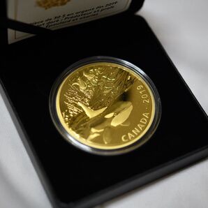 2019年 カナダ 30ドル 金メッキ銀貨 シャチとアシカ