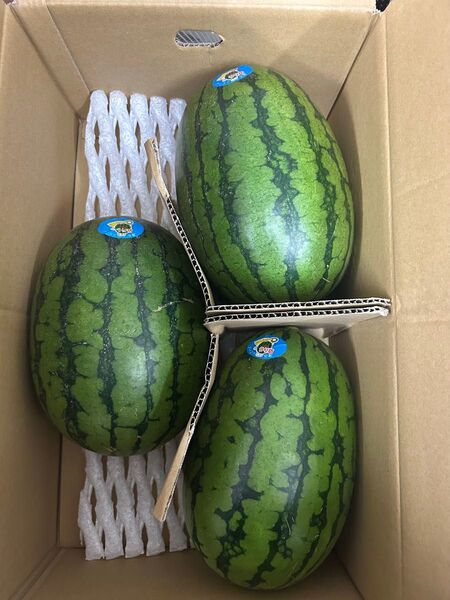 産地直送!小玉スイカウリ坊3玉入り!甘くて美味しい!箱込み9.キロ