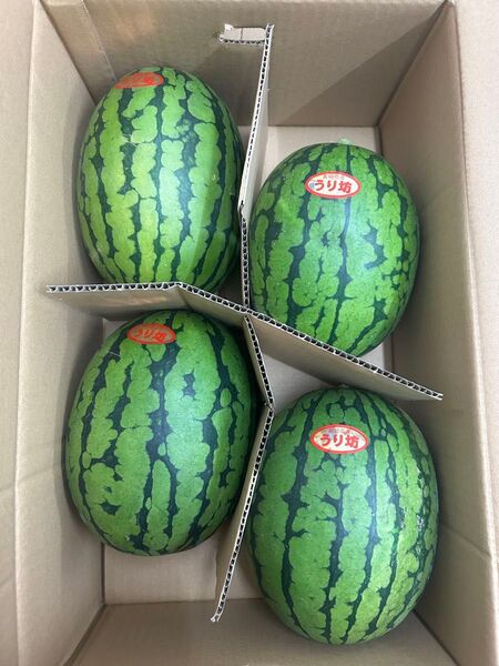 産地直送!小玉スイカウリ坊4玉入り!甘くて美味しい!箱込み9.5キロ