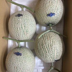 産地直送!アールスメロン4玉入箱込み7キロ以上
