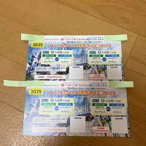 ナガシマスパーランド パスポート2枚