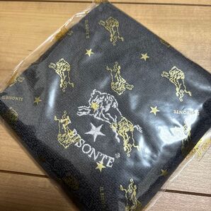 IL BISONTE タオル