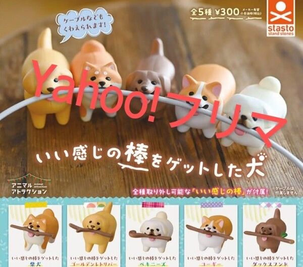 いい感じの棒をゲットした犬 5種類コンプリート ガチャ ガシャポン ガチャガチャ