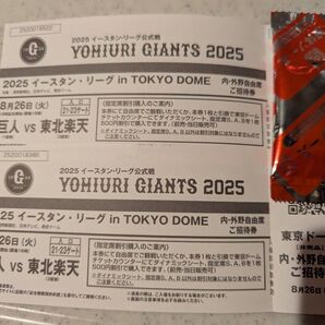 8月26日 ペアチケット 巨人vs東北楽天 東京ドーム 内野自由席観戦チケット 2枚 8/26 イースタンリーグ