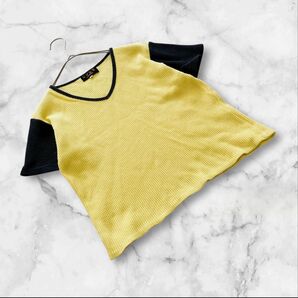 EVEX by KRIZIA エヴァックスバイクリツィア(40)L 半袖 トップス 無地