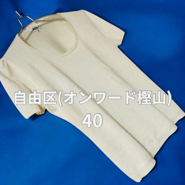 サマーセール実施中 コメント大歓迎 自由区 美品 オンワード樫山 サマーニット 半袖 ホワイト サイズ40 カットソー