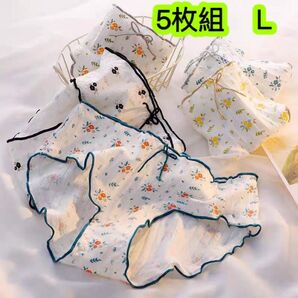 5枚組L 日系花柄コットンショーツ 通気 綿 女性 肌着レディース下着 448号