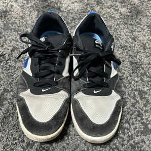 NIKE ナイキ NIKE SB アリウープ スニーカー AIR 黒 SB ブラック Ⅲ スポーツ トレーニング ブラック