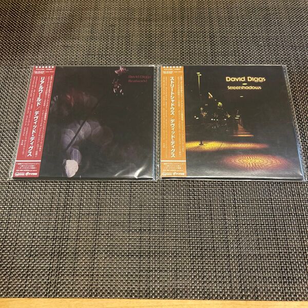 未使用AOR紙ジャケットCD2枚セット★デヴィッド・ディグス DAVID DIGGS「リアル・ワールド」「ストリート・シャドウズ」