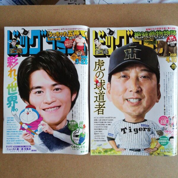 2冊セット ビッグコミック 2025年3/25号 4/10号3月25日号 (小学館)