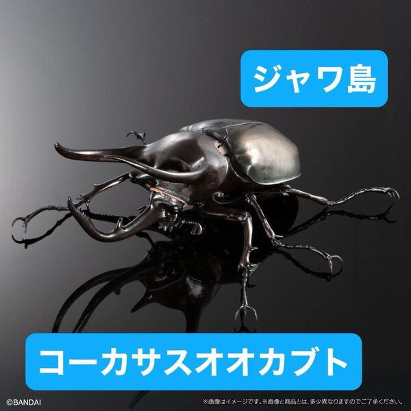 いきもの大図鑑アドバンス コーカサスオオカブト【カプセル版】コーカサスオオカブト(ジャワ島)単品