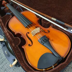 【希少品】Carlo giordano VS-1 1/2 2016年製