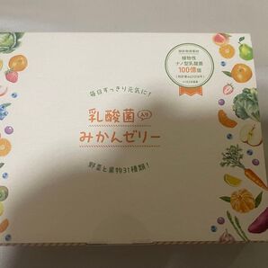 乳酸菌入りみかんゼリー 300g(10g×30本入り)