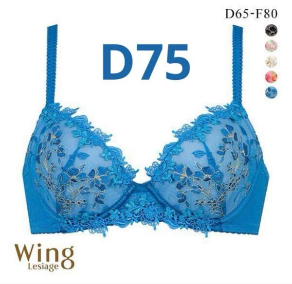 Wacoalワコールウイングレシアージュ 花の楽園 胸ふっくら やさしくフィット D75 BU タグ付き新品 wing