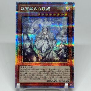 【五つ目】 迷宮城の白銀姫 25th 絵違い