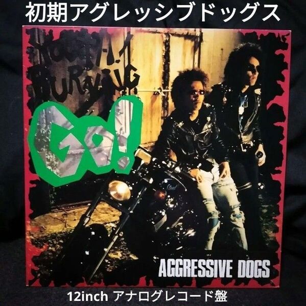 希少!アグレッシブ・ドッグス「Youth Burning Go!」LPアナログ・レコード