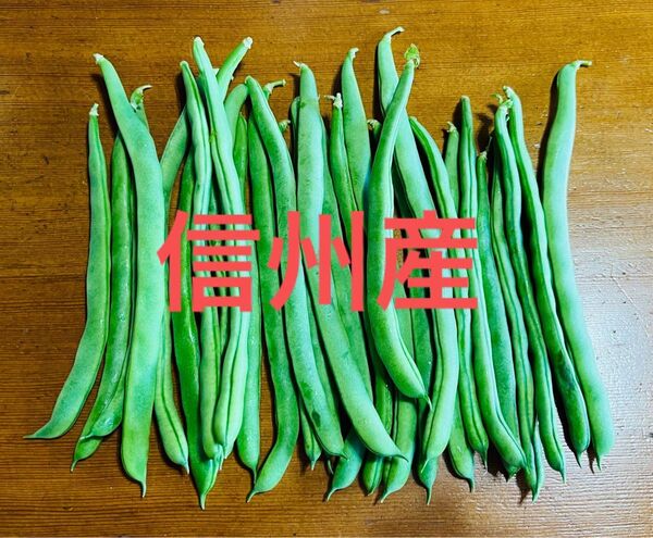 【当日発送】 無農薬 信州産 長野県産 インゲン豆