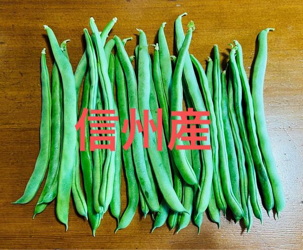 【当日発送】 信州産 無農薬 信州産 長野県産 インゲン豆