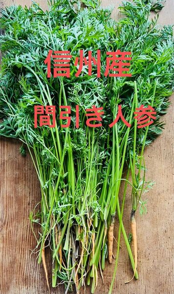 長野県産 にんじんの葉っぱ 間引きにんじん 人参 無農薬