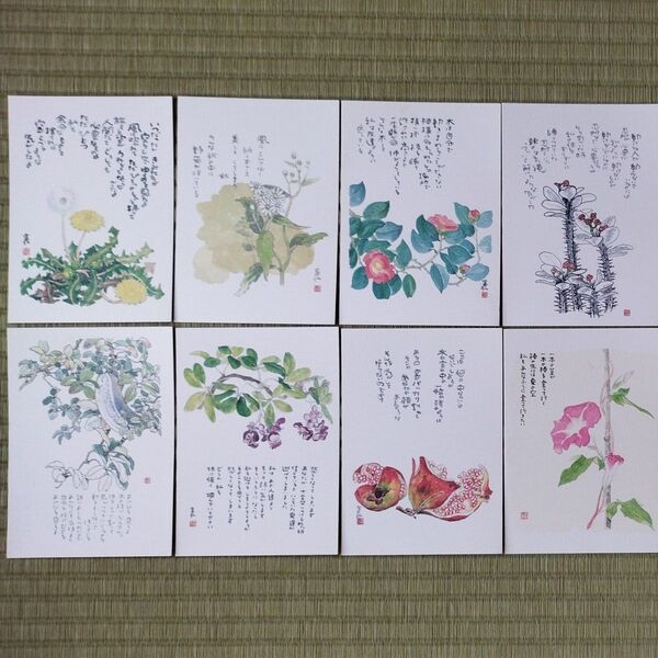 星野富弘 詩画集絵はがき第8集 8枚 未使用品(1枚に黄ばみあります)