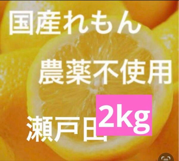 国産瀬戸田レモン2kg