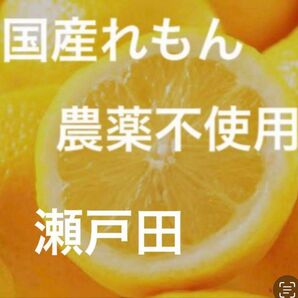 国産瀬戸田レモン